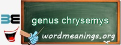 WordMeaning blackboard for genus chrysemys